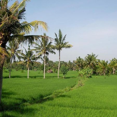 Green Field Hotel And Bungalow Ubud Extérieur photo