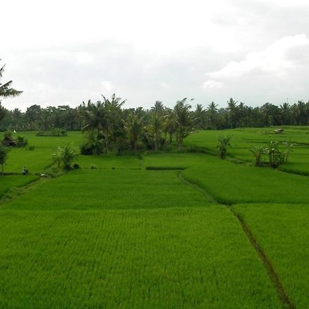 Green Field Hotel And Bungalow Ubud Extérieur photo