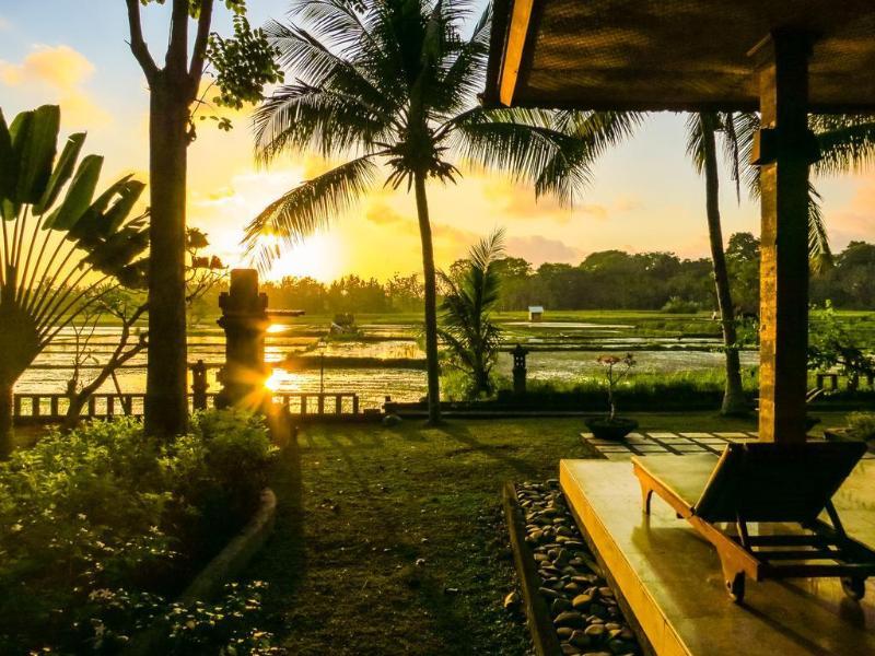 Green Field Hotel And Bungalow Ubud Extérieur photo