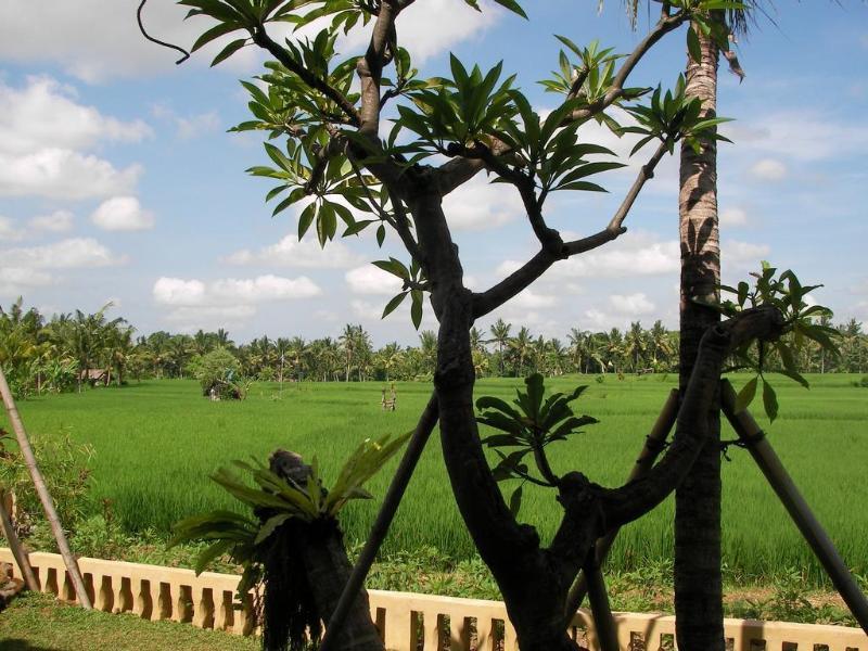 Green Field Hotel And Bungalow Ubud Extérieur photo